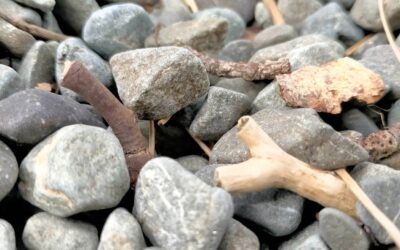 Sticks and Stones – How NLP Builds Resilience